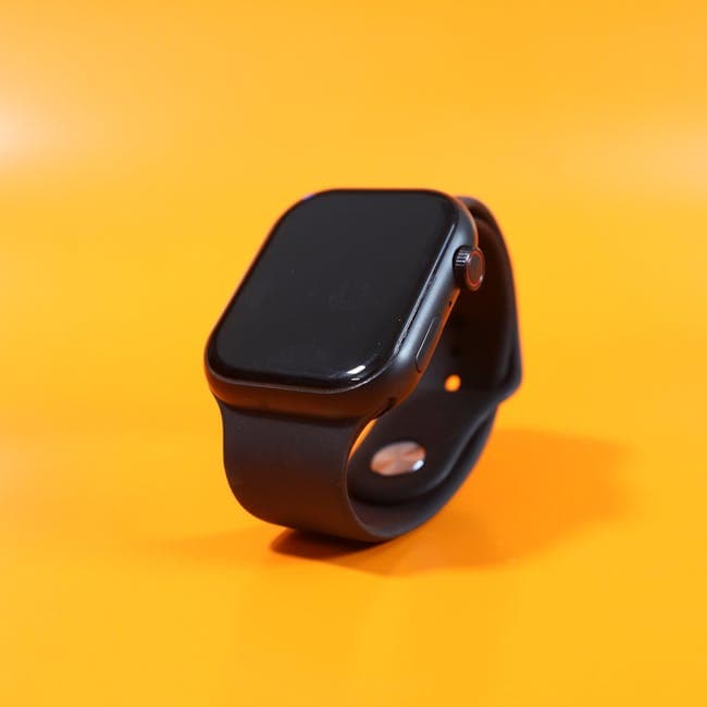Garmin Fenix 7 Slate Gray